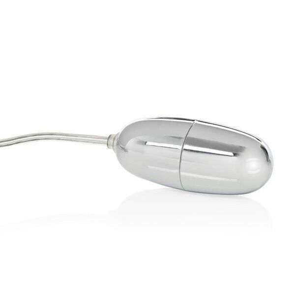 Powerful 2-speed Silver Bullet Egg Vibe Removable Sleeve Clit Vaginal Vibrator