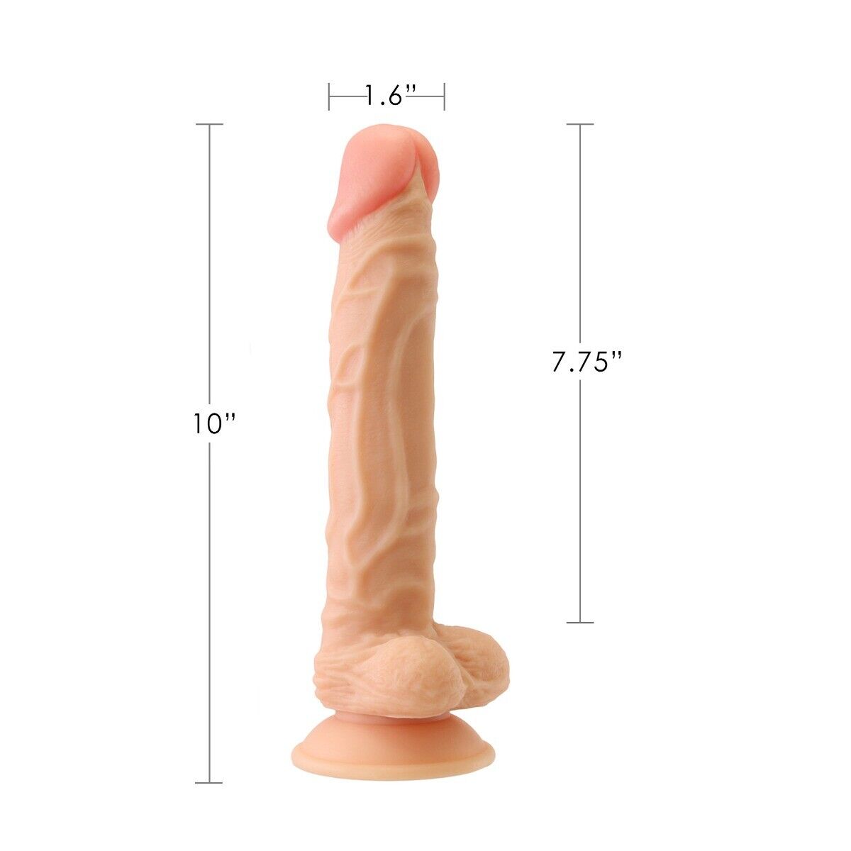 10" Extra Long XL Silicone Realistic Dildo Dong Cock With Balls Suction Cup